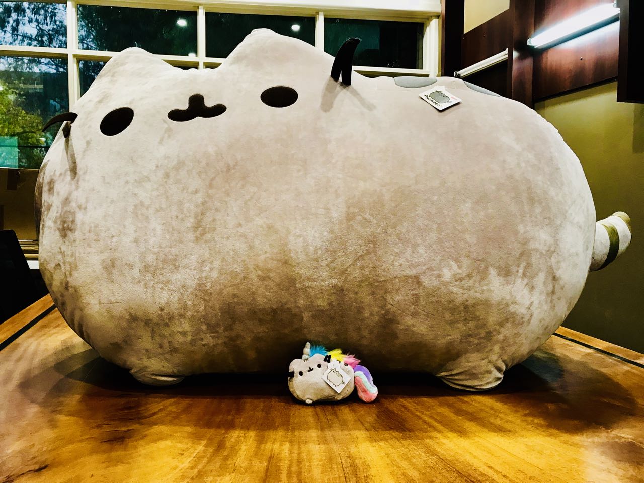 pusheen the cat giant plush